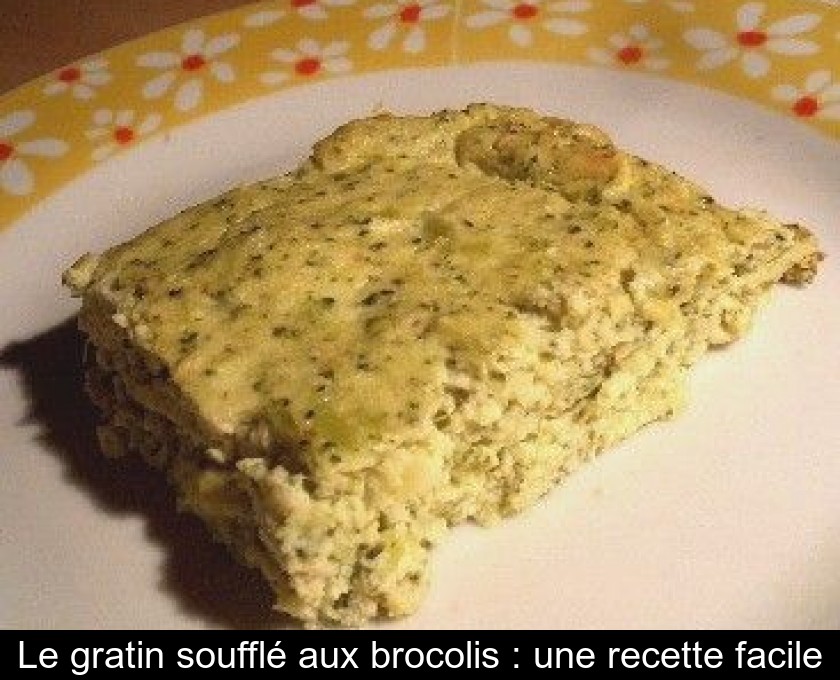 Le gratin soufflé aux brocolis : une recette facile Le gratin soufflé aux brocolis : une recette facile
