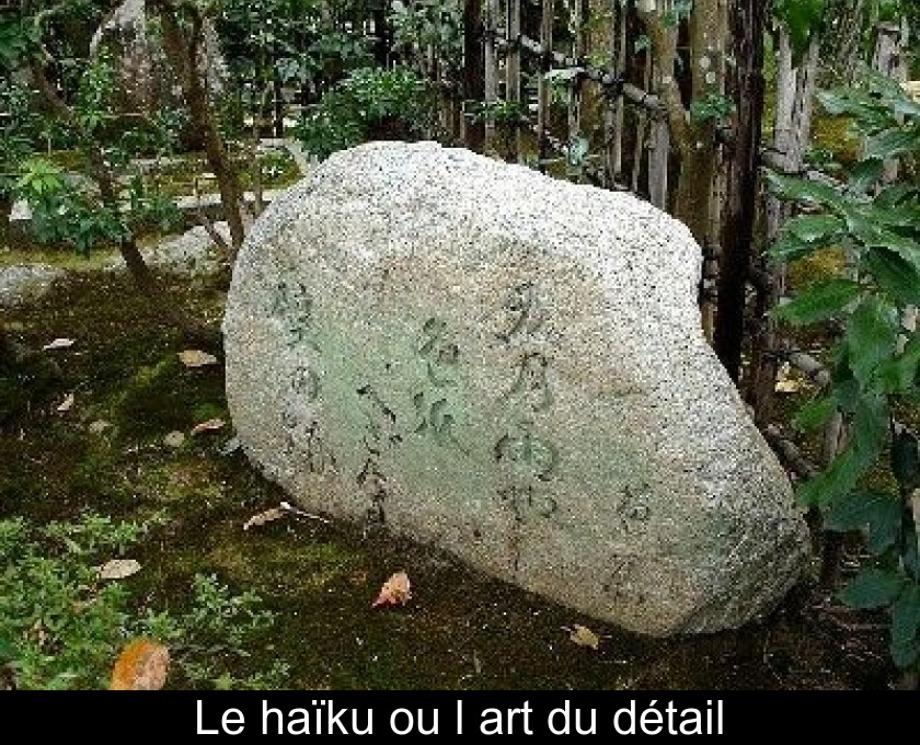 Le haïku ou l'art du détail