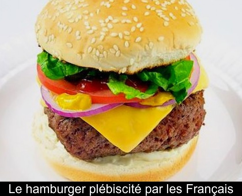 Le hamburger plébiscité par les Français Le hamburger plébiscité par les Français