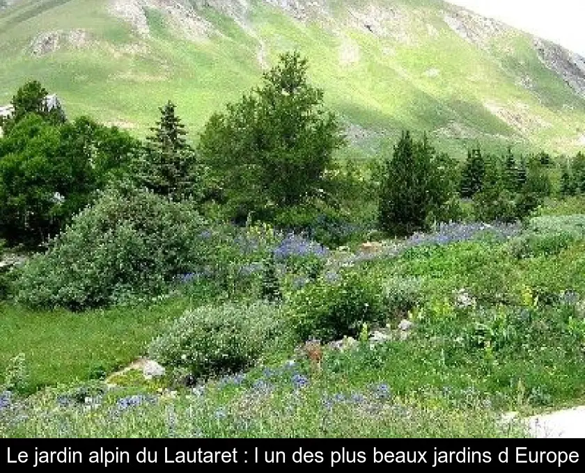 Le jardin alpin du Lautaret : l'un des plus beaux jardins d'Europe