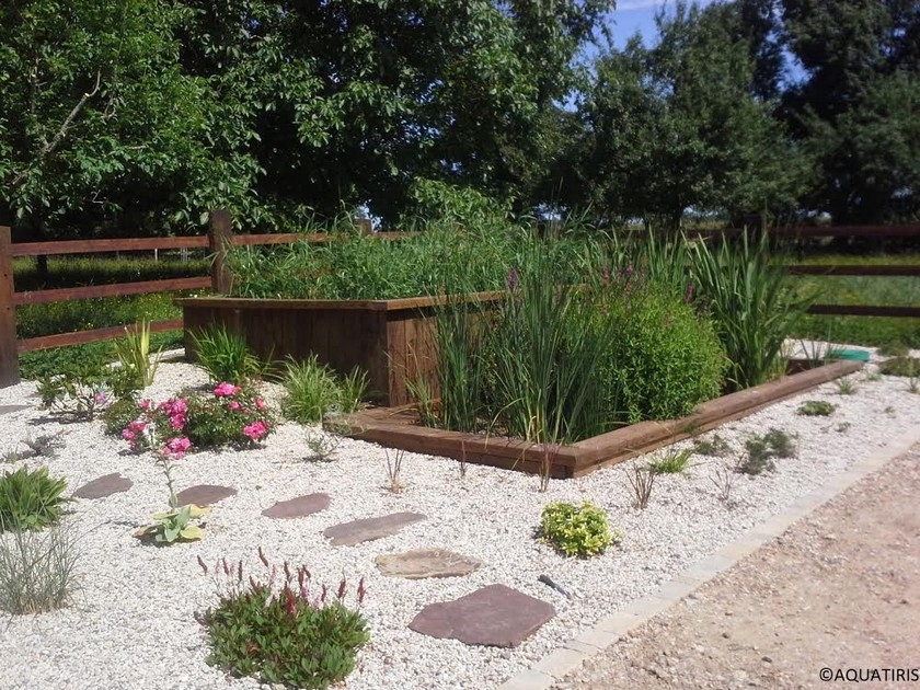 Le jardin d'assainissement : une solution écologique et esthétique Le jardin d'assainissement : une solution écologique et esthétique