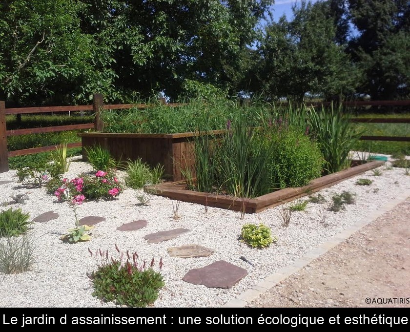 Le jardin d'assainissement : une solution écologique et esthétique Le jardin d'assainissement : une solution écologique et esthétique