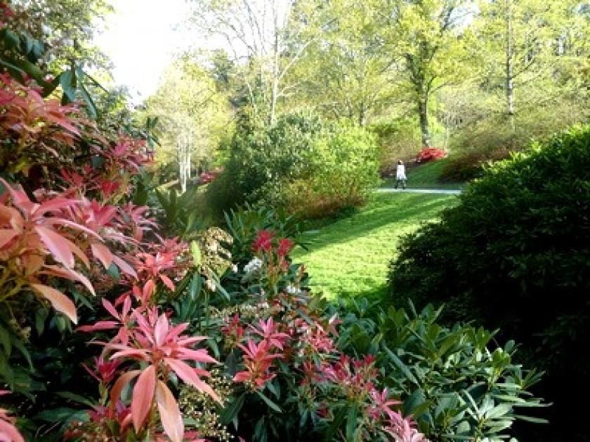Le Jardin du Conservatoire botanique de Brest Le Jardin du Conservatoire botanique de Brest