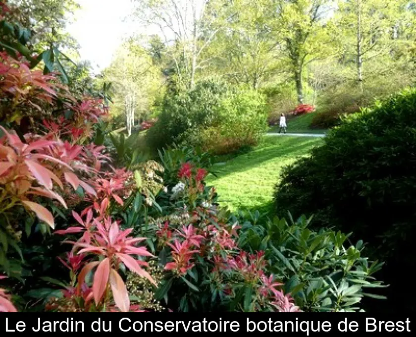 Le Jardin du Conservatoire botanique de Brest