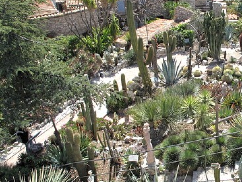 Le jardin exotique d'Eze : un jardin suspendu au-dessus de la Méditerranée Le jardin exotique d'Eze : un jardin suspendu au-dessus de la Méditerranée