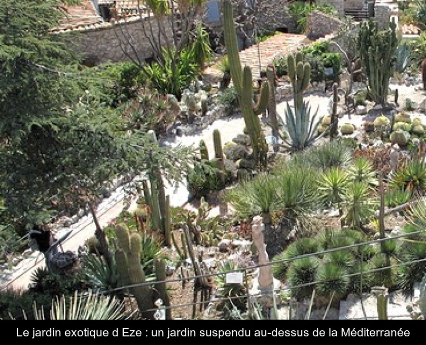 Le jardin exotique d'Eze : un jardin suspendu au-dessus de la Méditerranée