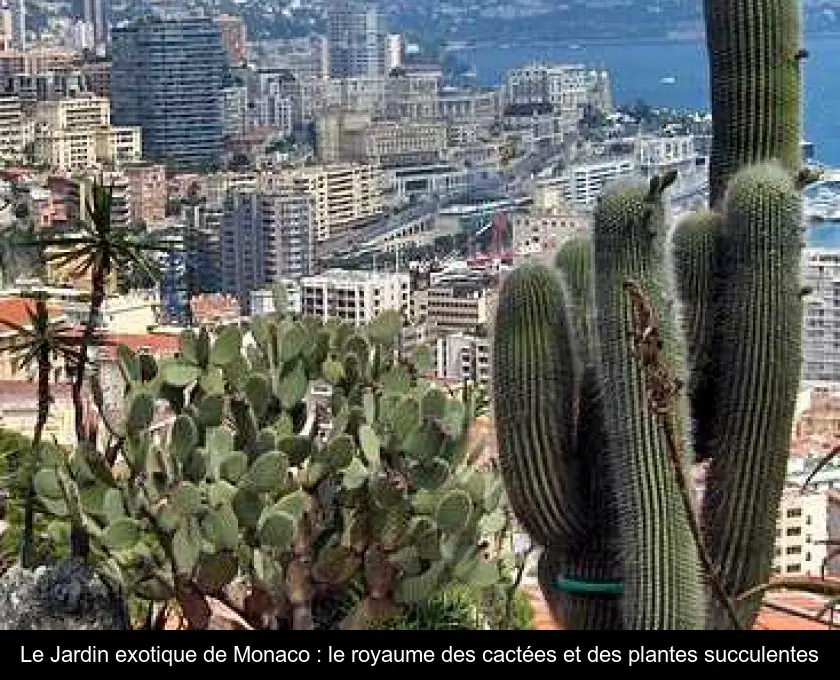 Le Jardin exotique de Monaco : le royaume des cactées et des plantes succulentes