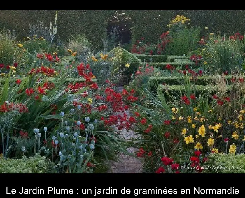 Le Jardin Plume : un jardin de graminées en Normandie