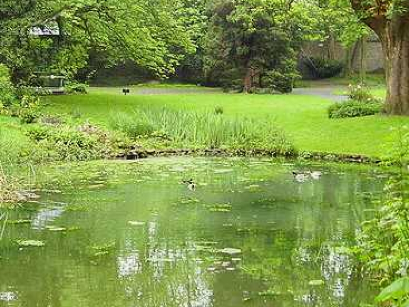 Le jardin sauvage : un concept en vogue Le jardin sauvage : un concept en vogue