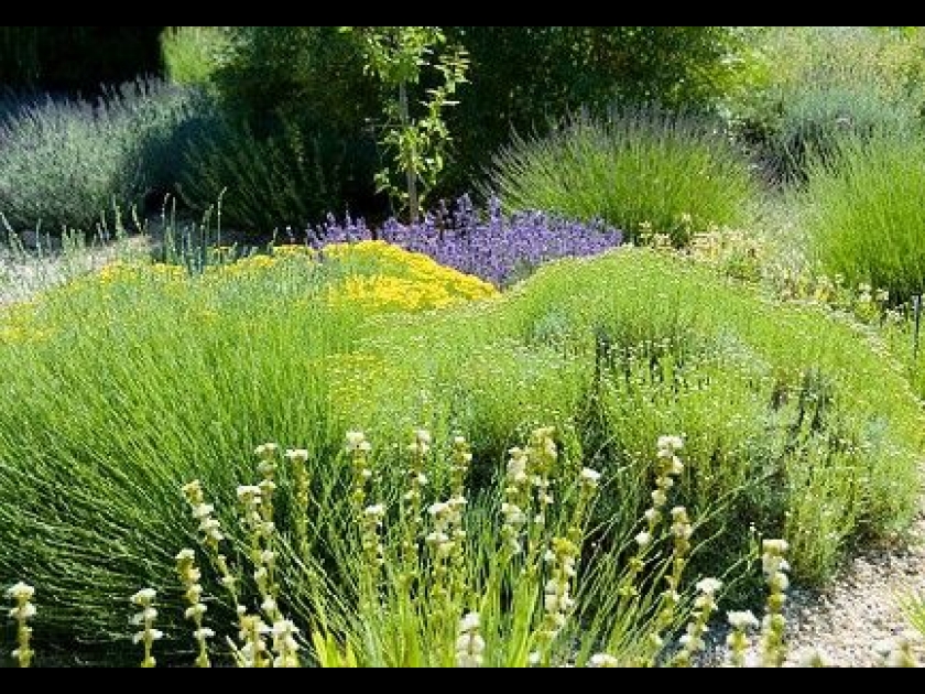 Le jardin sec : un jardin économe en eau Le jardin sec : un jardin économe en eau