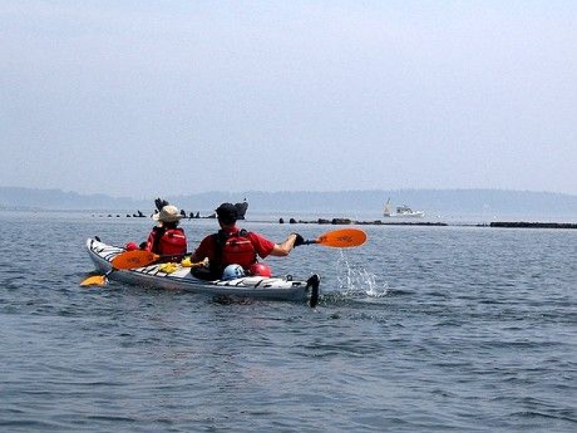 Le kayak de mer : un sport au plus près de la nature Le kayak de mer : un sport au plus près de la nature