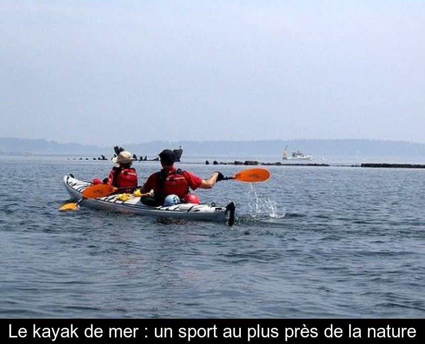 Le kayak de mer : un sport au plus près de la nature