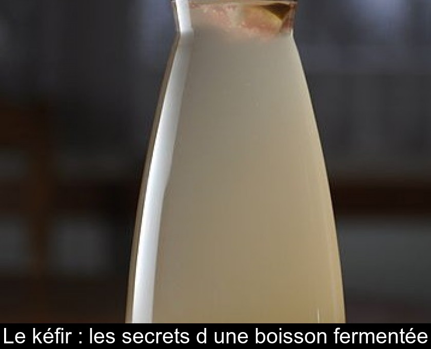 Différence entre kéfir d'eau et kéfir de lait