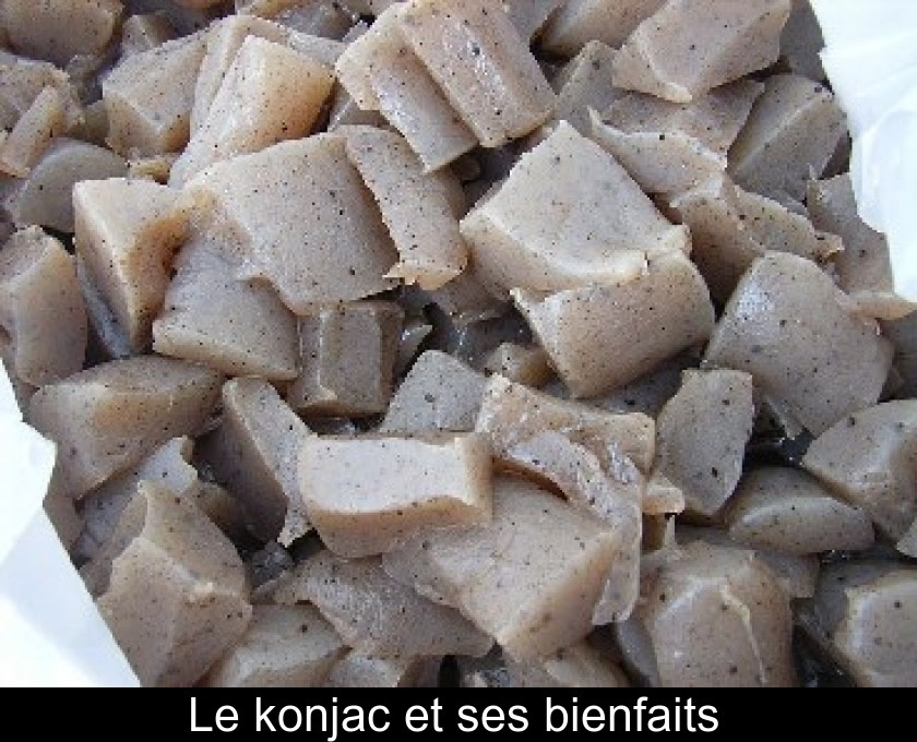 Le konjac : bienfaits santé, est-ce un coupe-faim ?