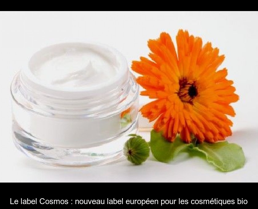 Le label Cosmos : nouveau label européen pour les cosmétiques bio Le label Cosmos : nouveau label européen pour les cosmétiques bio