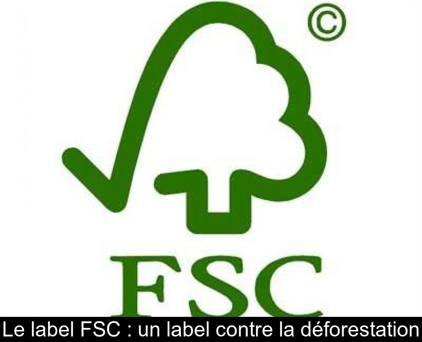 Le label FSC : un label contre la déforestation Le label FSC : un label contre la déforestation
