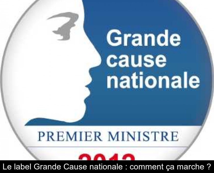 Le label Grande Cause nationale : comment ça marche ?