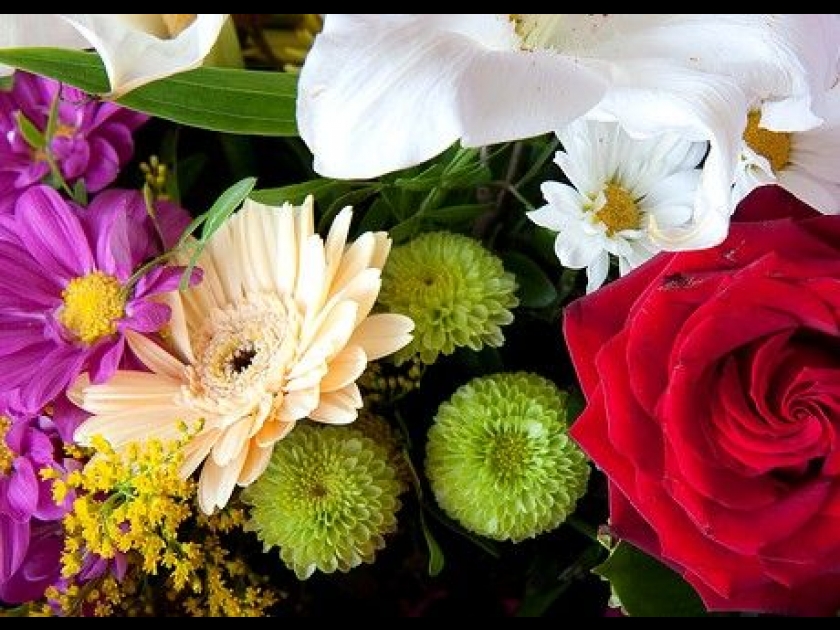 Le langage des fleurs : présentation et significations Le langage des fleurs : présentation et significations