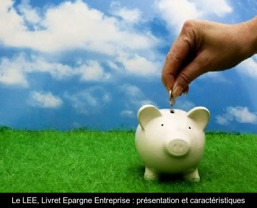Le LEE, Livret Epargne Entreprise : présentation et caractéristiques