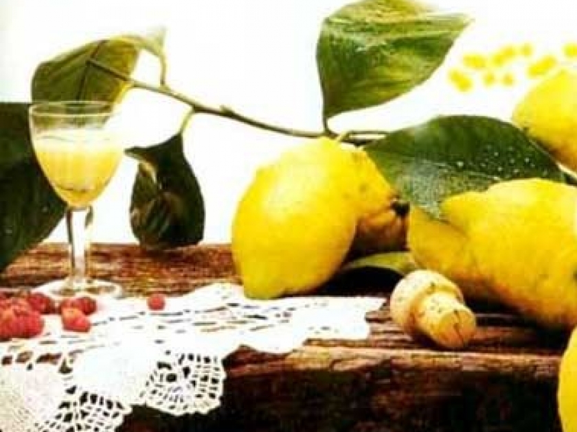 Le limoncello : une liqueur simple à réaliser Le limoncello : une liqueur simple à réaliser