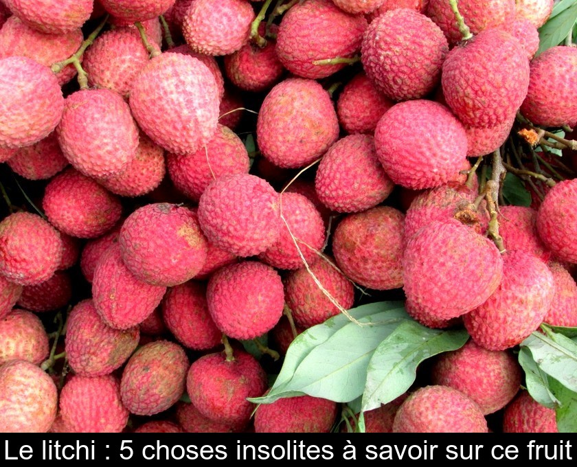 Le litchi : 5 choses insolites à savoir sur ce fruit