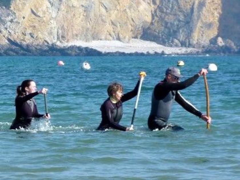 Le longe-côte : une randonnée maritime Le longe-côte : une randonnée maritime