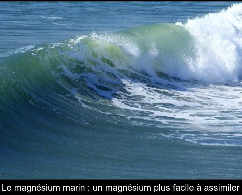 Le magnésium marin : un magnésium plus facile à assimiler