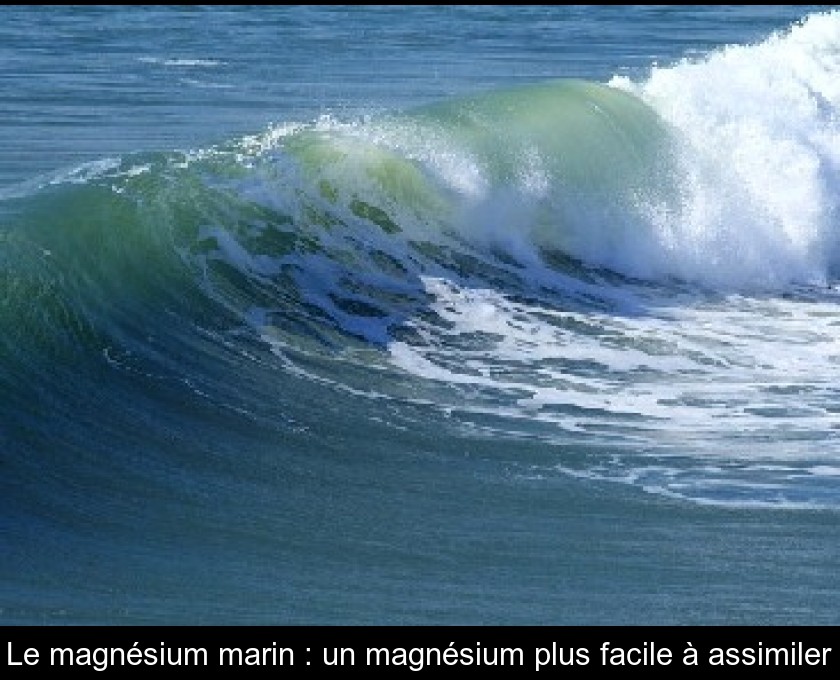 Le magnésium marin : un magnésium plus facile à assimiler Le magnésium marin : un magnésium plus facile à assimiler