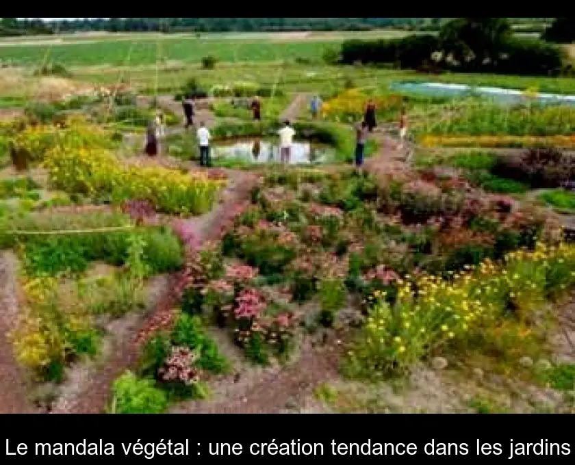 Le mandala végétal : une création tendance dans les jardins