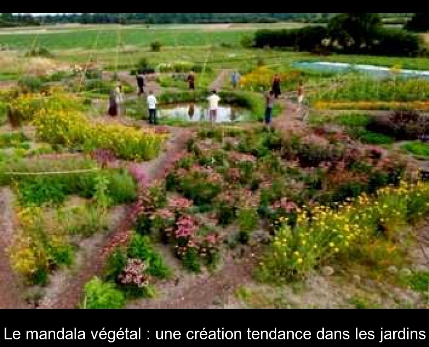 Le mandala végétal : une création tendance dans les jardins