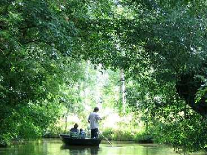 Le marais poitevin Le marais poitevin
