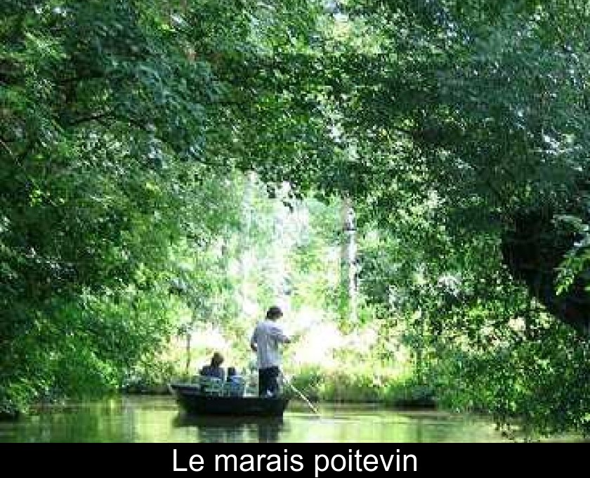 Le marais poitevin