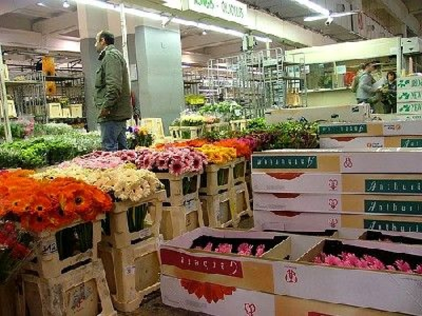 Le marché de Rungis : présentation et histoire Le marché de Rungis : présentation et histoire