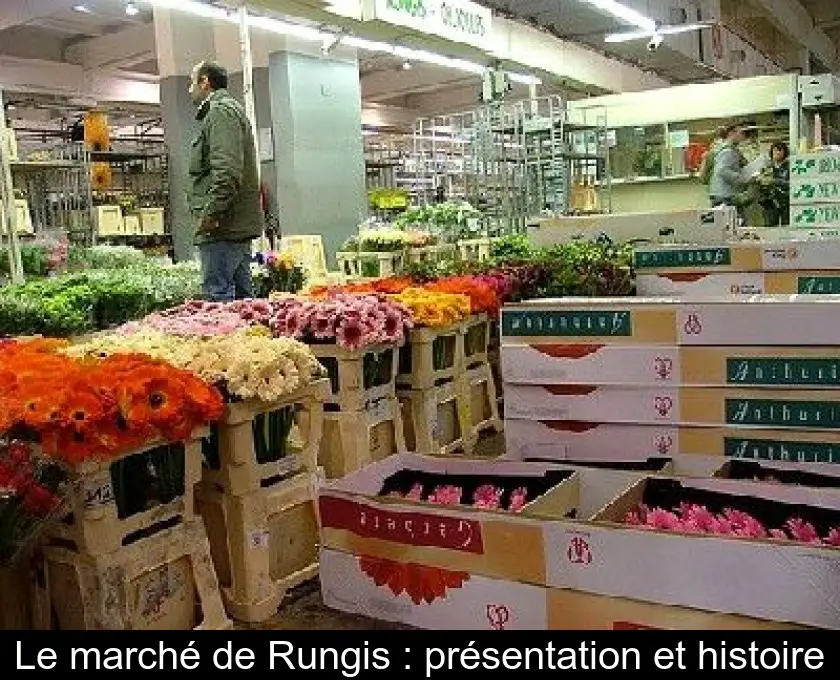 Le marché de Rungis : présentation et histoire