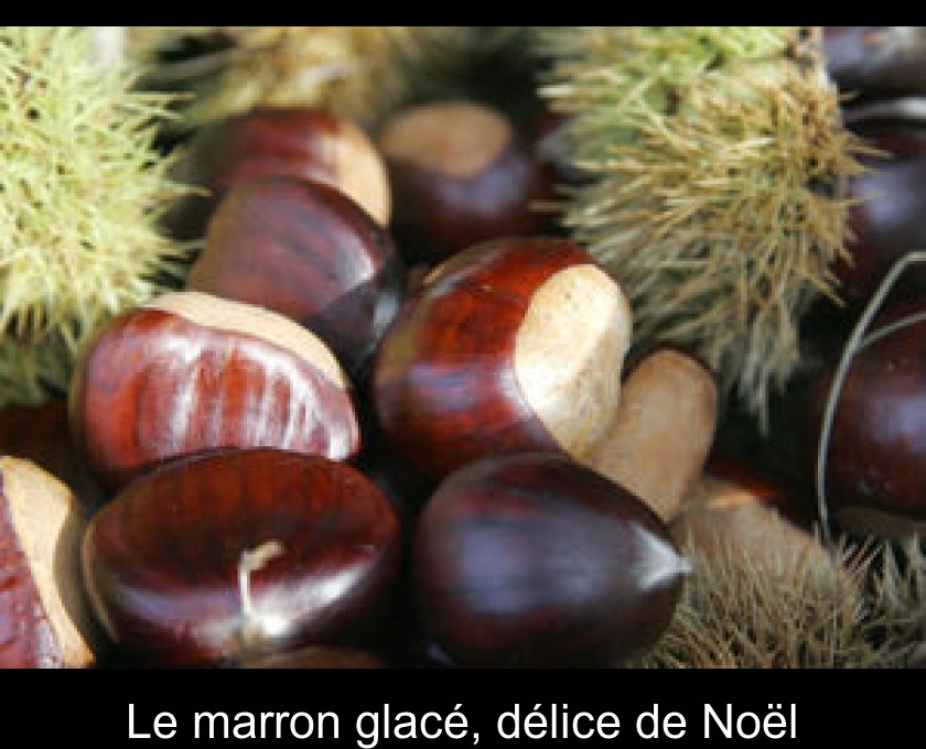 Le marron glacé, délice de Noël Le marron glacé, délice de Noël