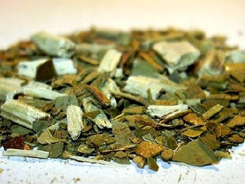 Le maté : une boisson stimulante Le maté : une boisson stimulante