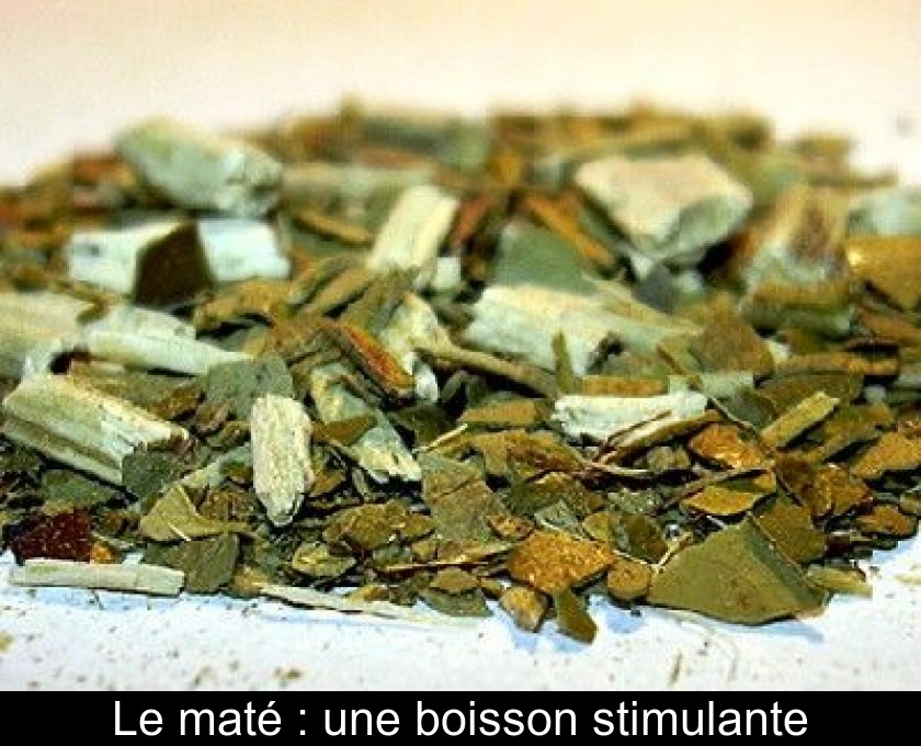 Le maté : une boisson stimulante Le maté : une boisson stimulante