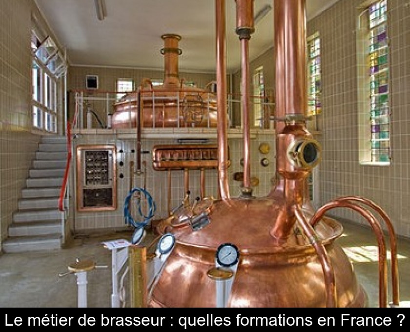 Le métier de brasseur : quelles formations en France ? Le métier de brasseur : quelles formations en France ?
