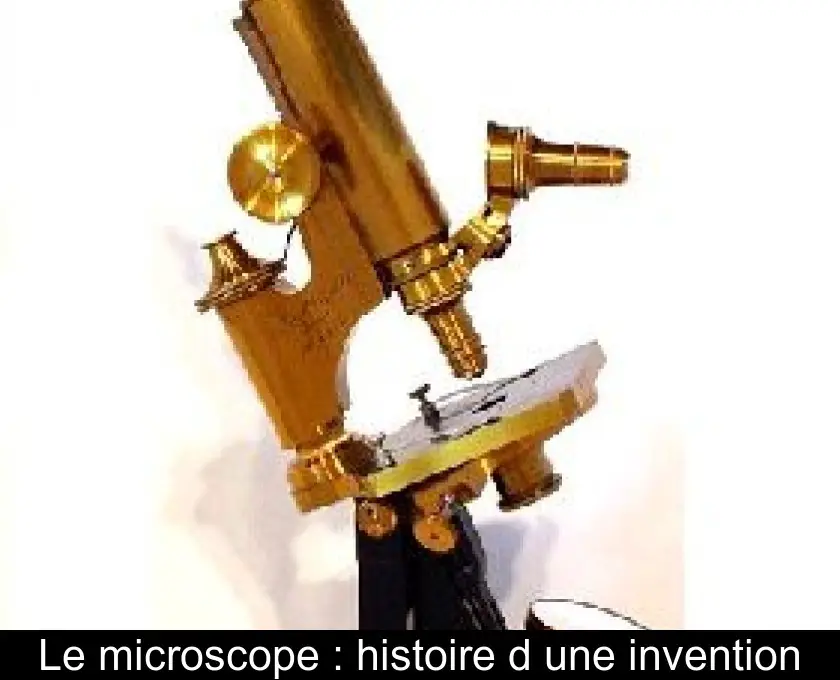 Le microscope : histoire d'une invention