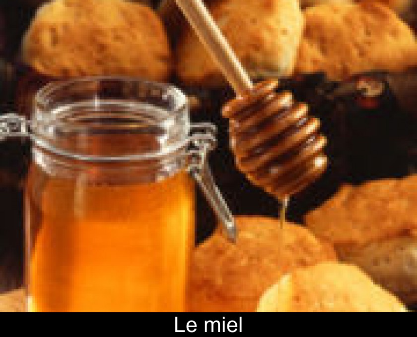 Le miel Le miel