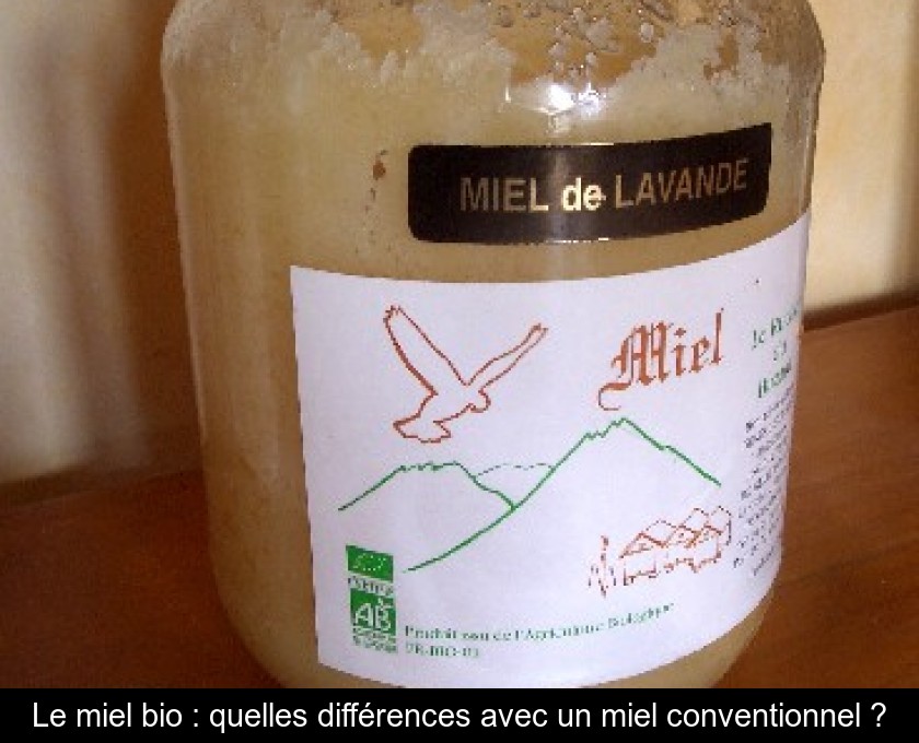 Le miel bio : quelles différences avec un miel conventionnel ? Le miel bio : quelles différences avec un miel conventionnel ?