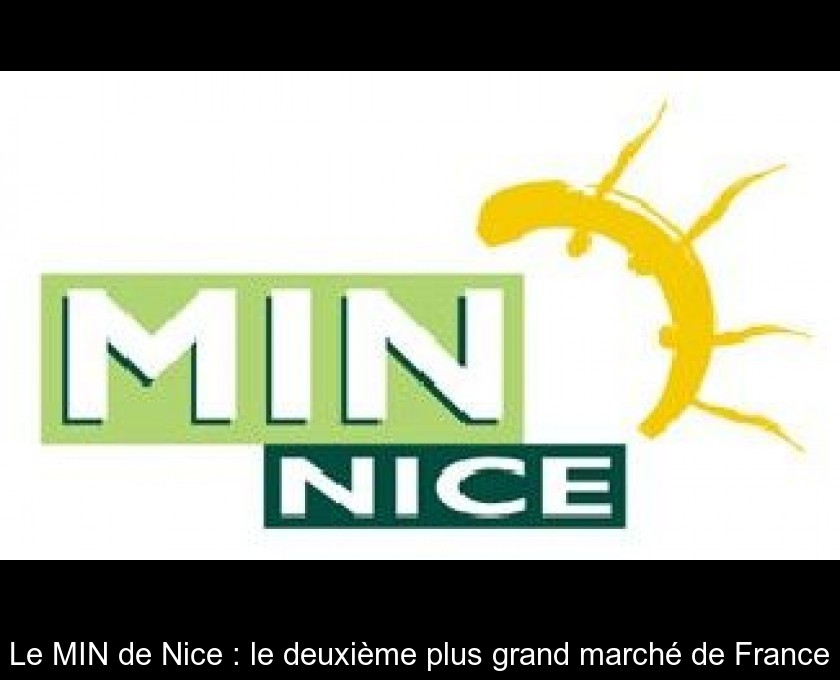 Le MIN de Nice : le deuxième plus grand marché de France Le MIN de Nice : le deuxième plus grand marché de France