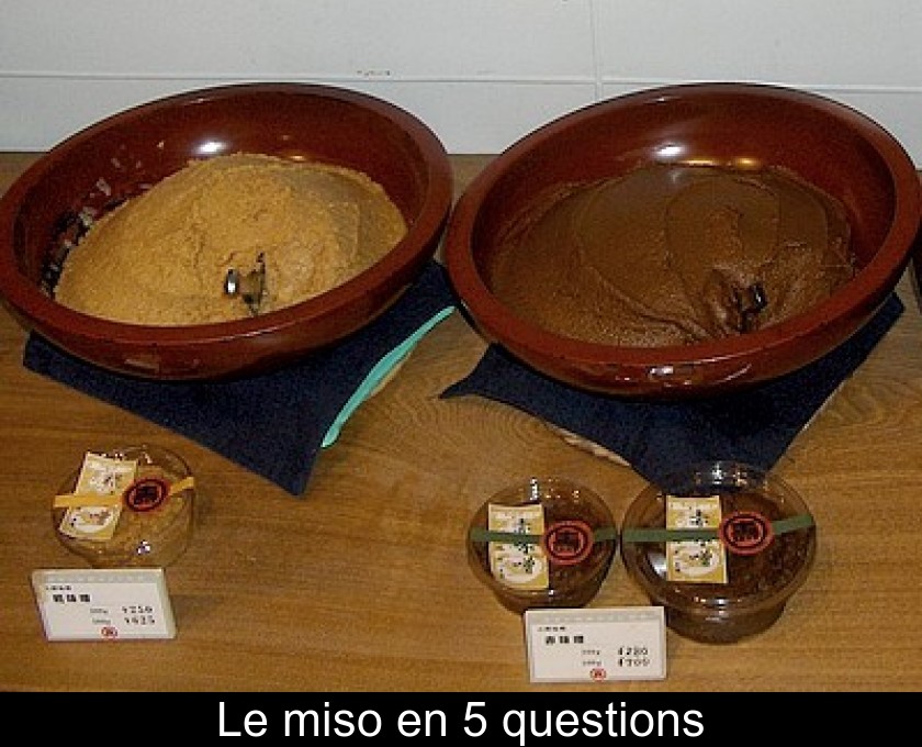 Le miso en 5 questions Le miso en 5 questions