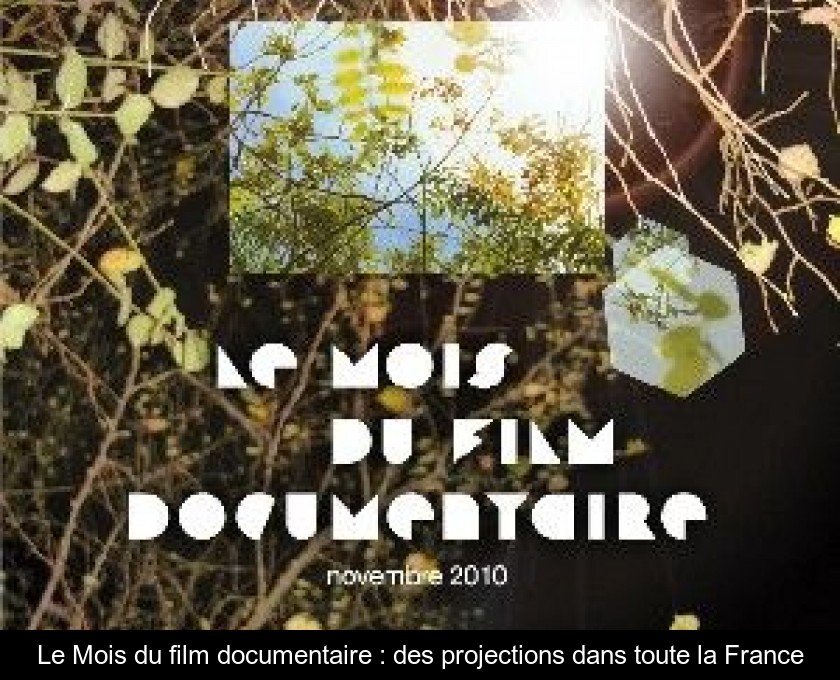 Le Mois du film documentaire : des projections dans toute la France Le Mois du film documentaire : des projections dans toute la France