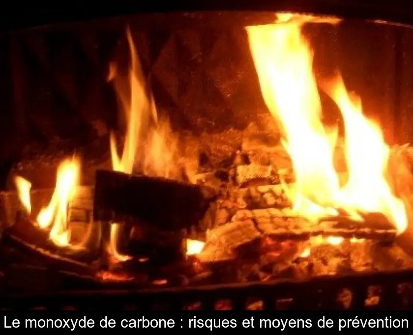 Le monoxyde de carbone : risques et moyens de prévention