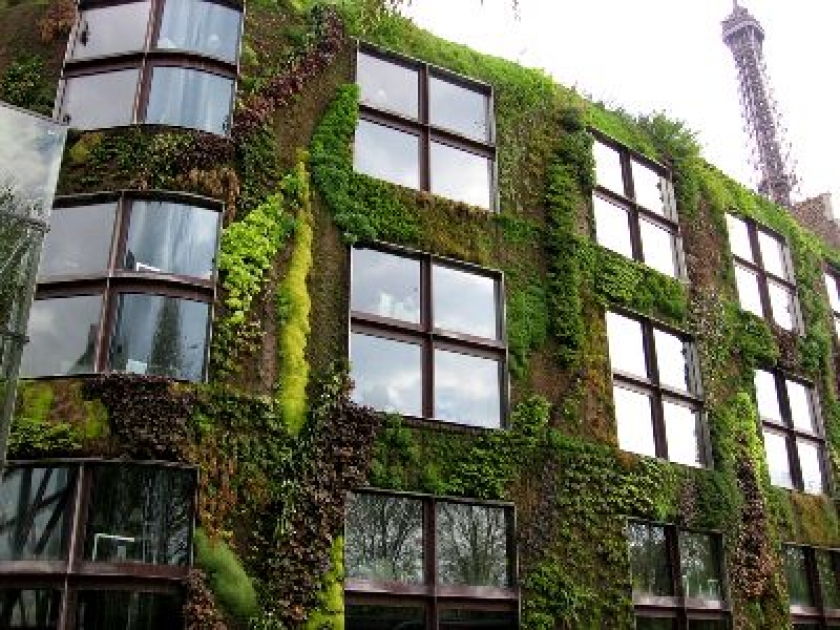 Le mur végétal : un concept innovant Le mur végétal : un concept innovant