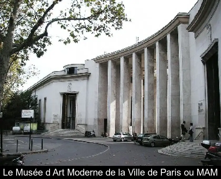 Le Musée d'Art Moderne de la Ville de Paris ou MAM