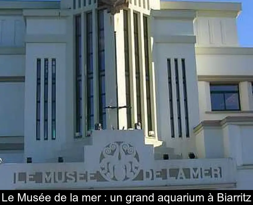 Le Musée de la mer : un grand aquarium à Biarritz