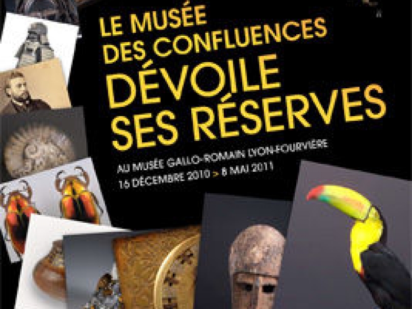 Le Musée des Confluences dévoile ses réserves Le Musée des Confluences dévoile ses réserves