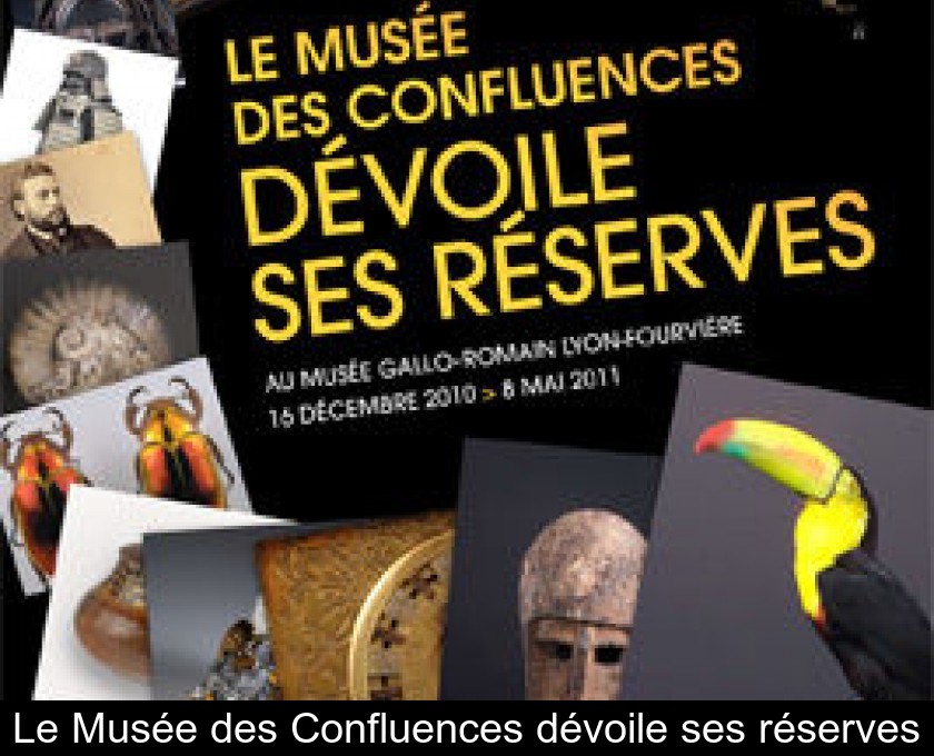 Le Musée des Confluences dévoile ses réserves